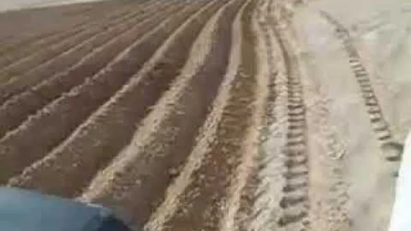 الأمثال الشعبية والزراعة في مصر