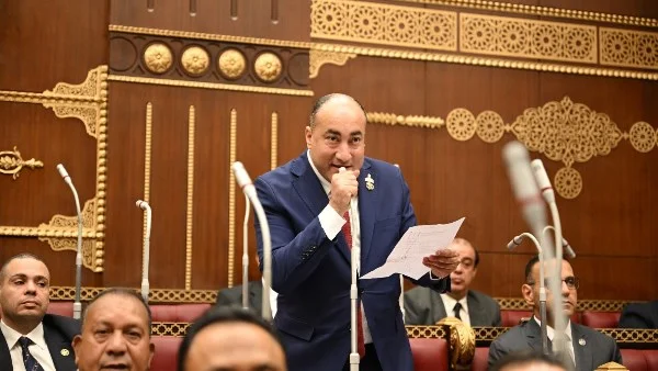 مرونة تنفيذ خطة التنمية الاقتصادية والاجتماعية 2026/2027