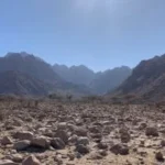 ثورة بيئية على ساحل البحر الأحمر بتكنولوجيا ألمانية وهولندية