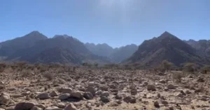 ثورة بيئية على ساحل البحر الأحمر بتكنولوجيا ألمانية وهولندية