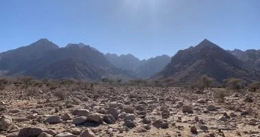 ثورة بيئية على ساحل البحر الأحمر بتكنولوجيا ألمانية وهولندية