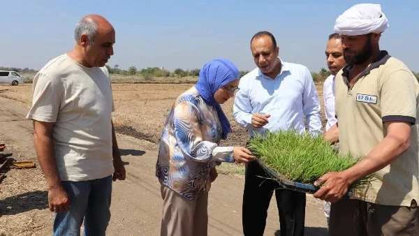 انطلاق موسم زراعة الأرز في كلية الزراعة بمشتهر