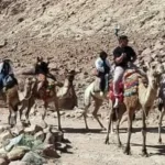 180 سائحاً يزورون دير سانت كاترين وجبل موسى