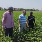 دعم القطاع الزراعي في الفيوم وتعزيز التنمية المستدامة