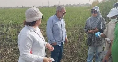 زراعة الأقصر تستعرض الأنشطة والإنتاجية الزراعية