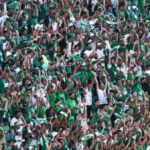 مكاسب المصري البورسعيدي بعد تتويجه بكأس عاصمة مصر