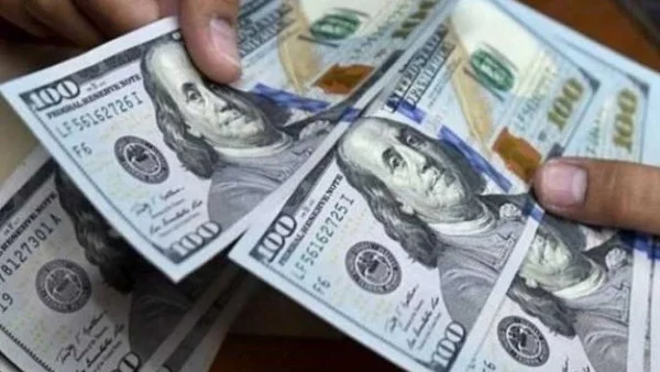 استقرار سعر الدولار أمام الجنيه المصري اليوم