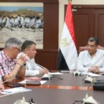 شاشات عملاقة في الغردقة لمساندة منتخب مصر