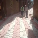 تطوير شوارع قرية نشا في الدقهلية