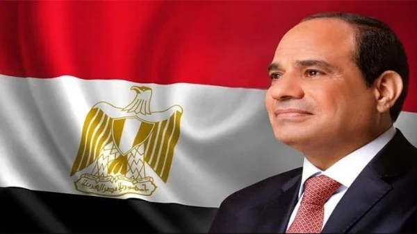 قيادات مصرية تتحدث عن جاهزية الدولة لمواجهة الأزمات