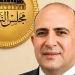 مصر تستعيد ريادتها الإفريقية بعد ثورة 30 يونيو