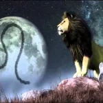 حظ برج الأسد اليوم الأربعاء 8 يوليو 2026