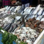أسعار السمك والجمبري في سوق العبور اليوم