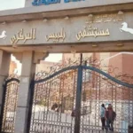 إنقاذ حياة أربعة أشخاص من لدغات ثعابين في مستشفى بلبيس