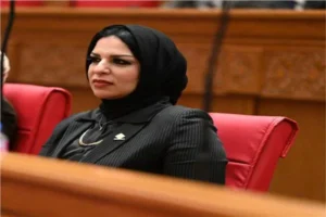 أهمية مراعاة الاتفاقيات الضريبية لجذب الاستثمارات