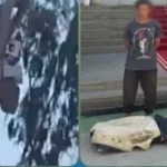 تفصيل جديد عن “عشة بشجرة” في الإسماعيلية