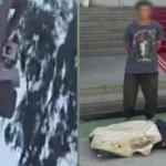 القبض على المتهم بإنشاء “عشة” فوق شجرة بالإسماعيلية