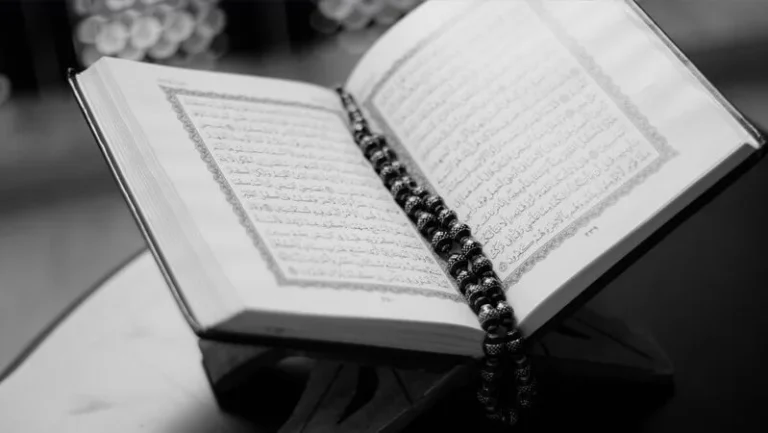 أهمية التعاون في المجتمع وفق آية قرآنية
