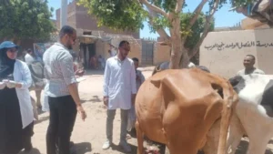 جامعة أسوان تختتم قافلة بيطرية شاملة