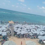 مصادرة شيش وضبط مخالفات بشواطئ الإسكندرية