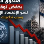 صندوق النقد: الحرب تؤثر على الاقتصاد الإسرائيلي