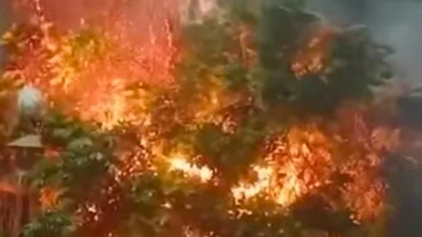 السيطرة على حريق بالأشجار في إسنا بالأقصر