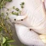 ضرورة غسل الدجاج قبل الطهي: الحقائق التي يجب معرفتها