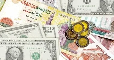 استقرار أسعار العملات اليوم 11 يوليو 2026