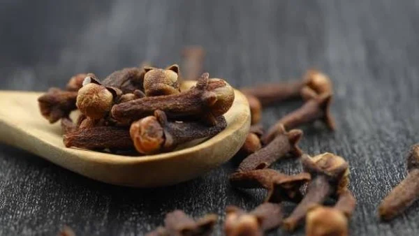 فوائد مضغ القرنفل كل صباح