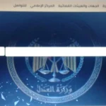 الاستعلام عن القضايا إلكترونياً بخطوات بسيطة