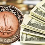 استقرار سعر الدولار في البنوك المصرية
