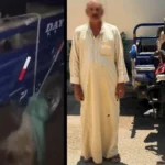 القبض على شخص عذّب كلبين في المنوفية