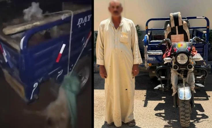 القبض على شخص عذّب كلبين في المنوفية
