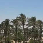 مستقبل أخضر في سيناء: 18 تجمعًا زراعيًا جديدًا