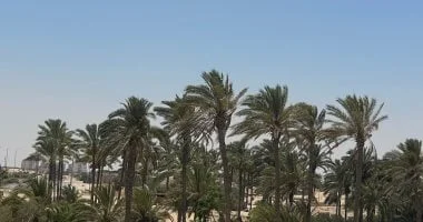 مستقبل أخضر في سيناء: 18 تجمعًا زراعيًا جديدًا