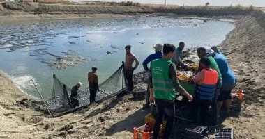 شروط إنشـاء الجزر والجسور بالبحيرات وفق القانون