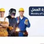1395 فرصة عمل بالمنطقة الاقتصادية بالسويس