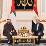 زيارة محمد بن زايد إلى القاهرة: أهمية التنسيق العربي