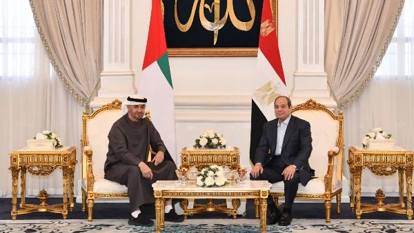زيارة محمد بن زايد إلى القاهرة: أهمية التنسيق العربي