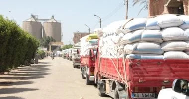 سلالات جديدة لمكافحة الأمراض في القمح المصري