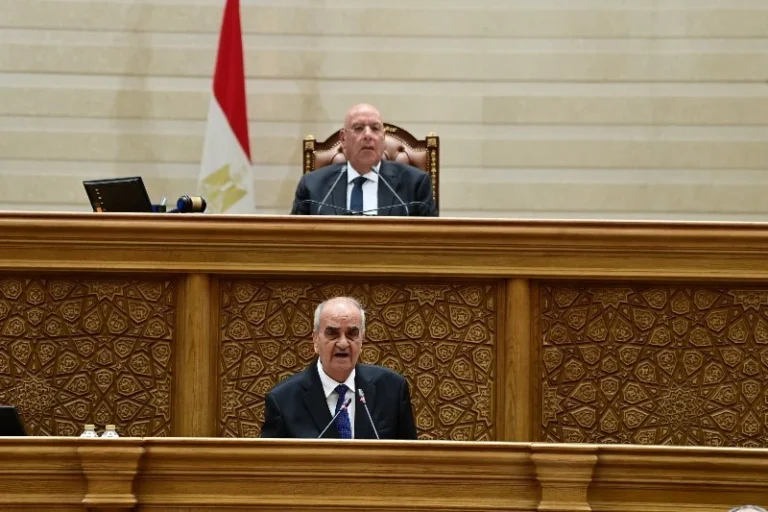 استعراض تقرير قانون جهاز مستقبل مصر في مجلس النواب