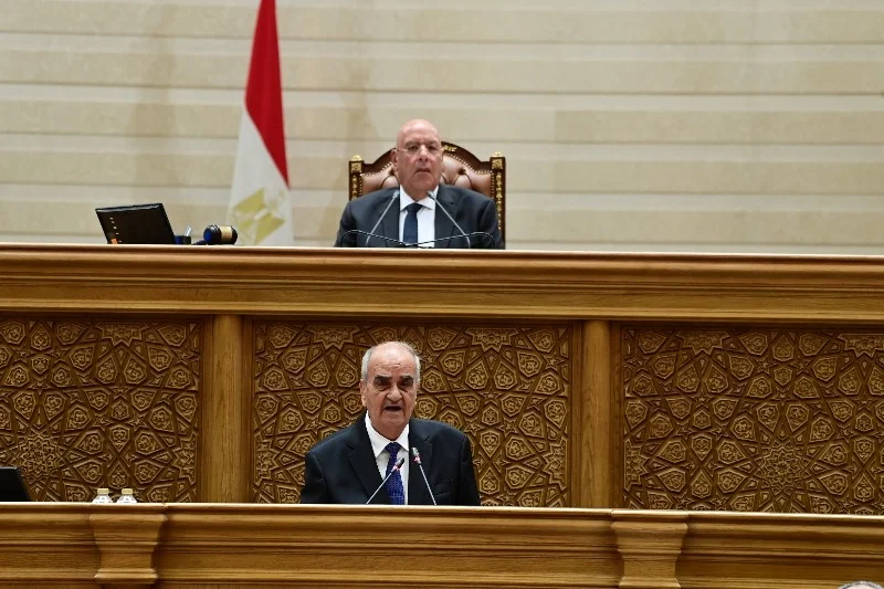 استعراض تقرير قانون جهاز مستقبل مصر في مجلس النواب