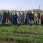 خطة الدولة لتعزيز الأمن الغذائي من خلال الزراعة