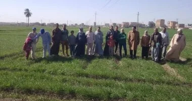 خطة الدولة لتعزيز الأمن الغذائي من خلال الزراعة