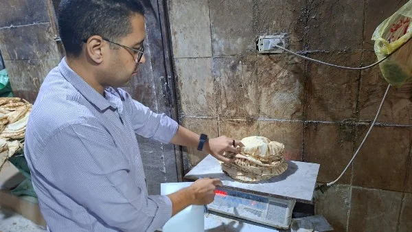 مراقبة الحملات التموينية في الغربية
