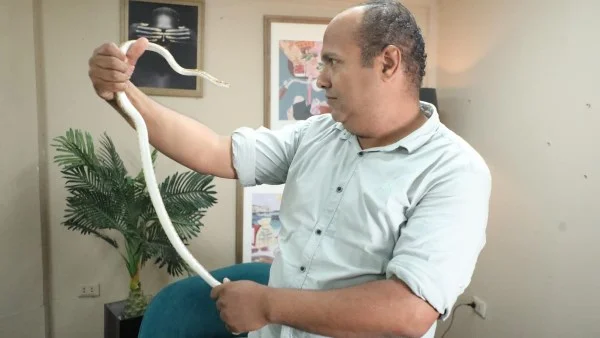 حقيقة انفجار الثعبان بعد تناول البيض