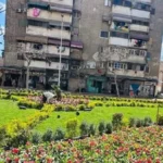 الحفاظ على المسطحات الخضراء في بورسعيد