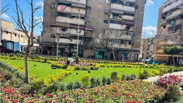 الحفاظ على المسطحات الخضراء في بورسعيد