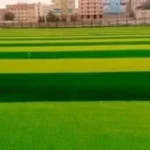 تطوير مراكز الشباب والرياضة لاكتشاف المواهب الرياضية