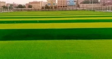 تطوير مراكز الشباب والرياضة لاكتشاف المواهب الرياضية